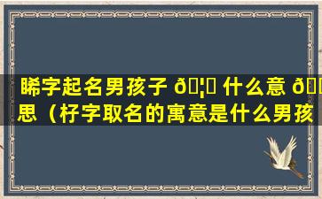 睎字起名男孩子 🦄 什么意 🐺 思（杍字取名的寓意是什么男孩）